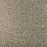 Serendipity Carpet