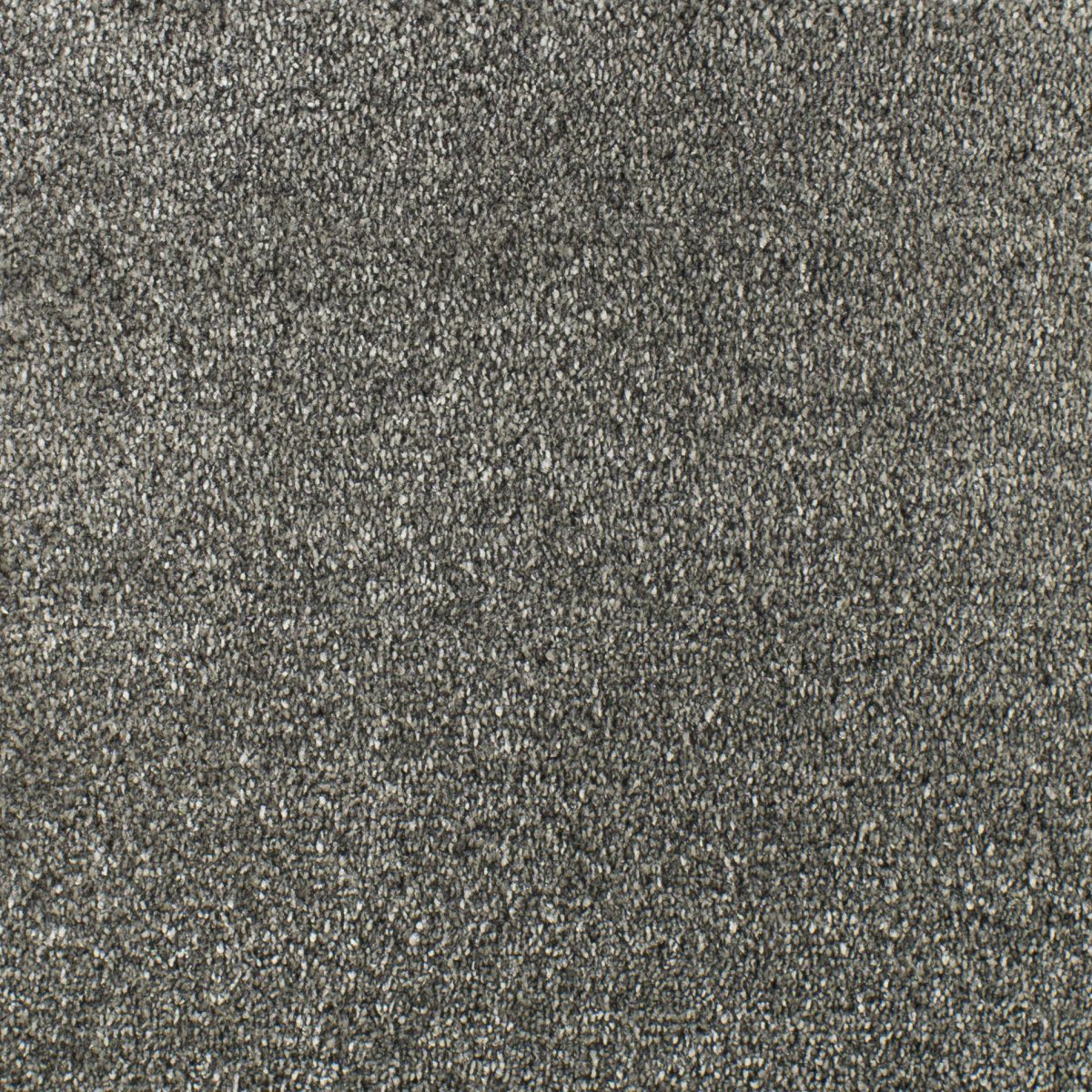 Serendipity Carpet