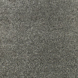 Serendipity Carpet