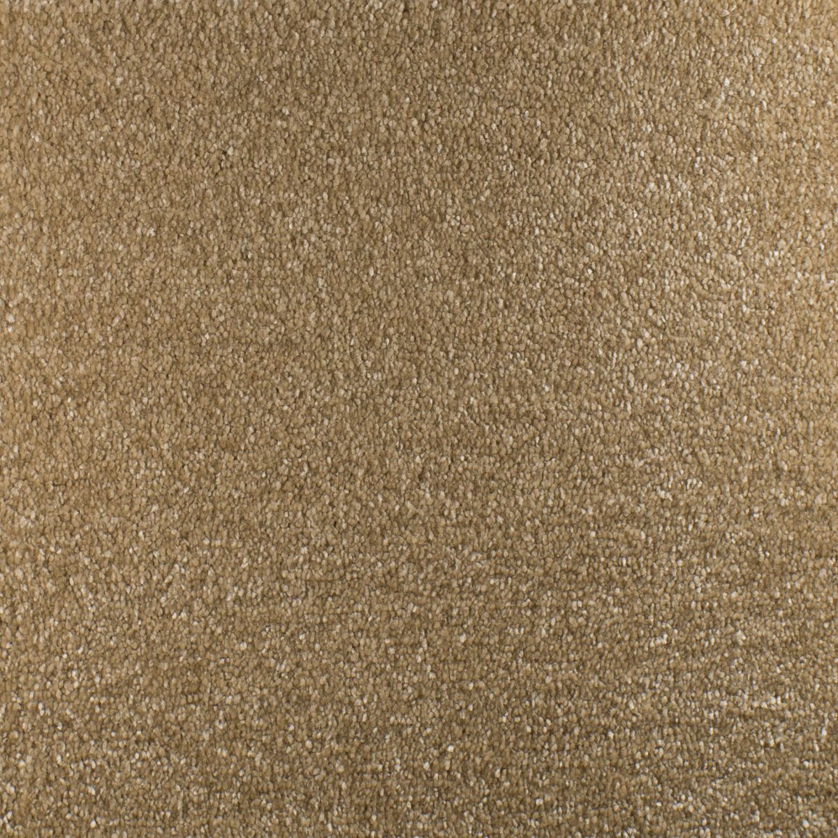 Serendipity Carpet