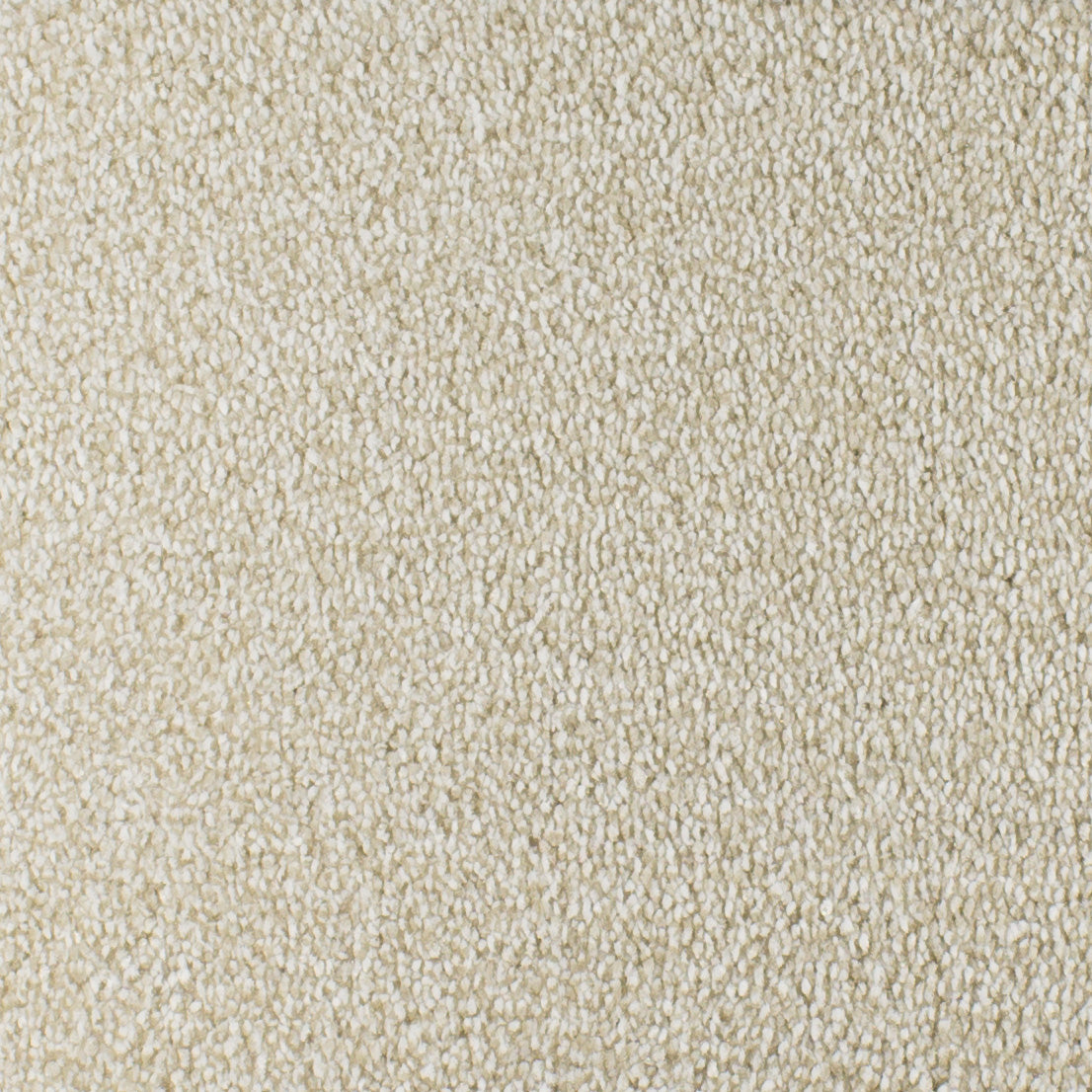Serendipity Carpet