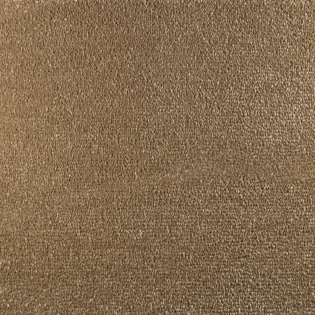 Serendipity Carpet