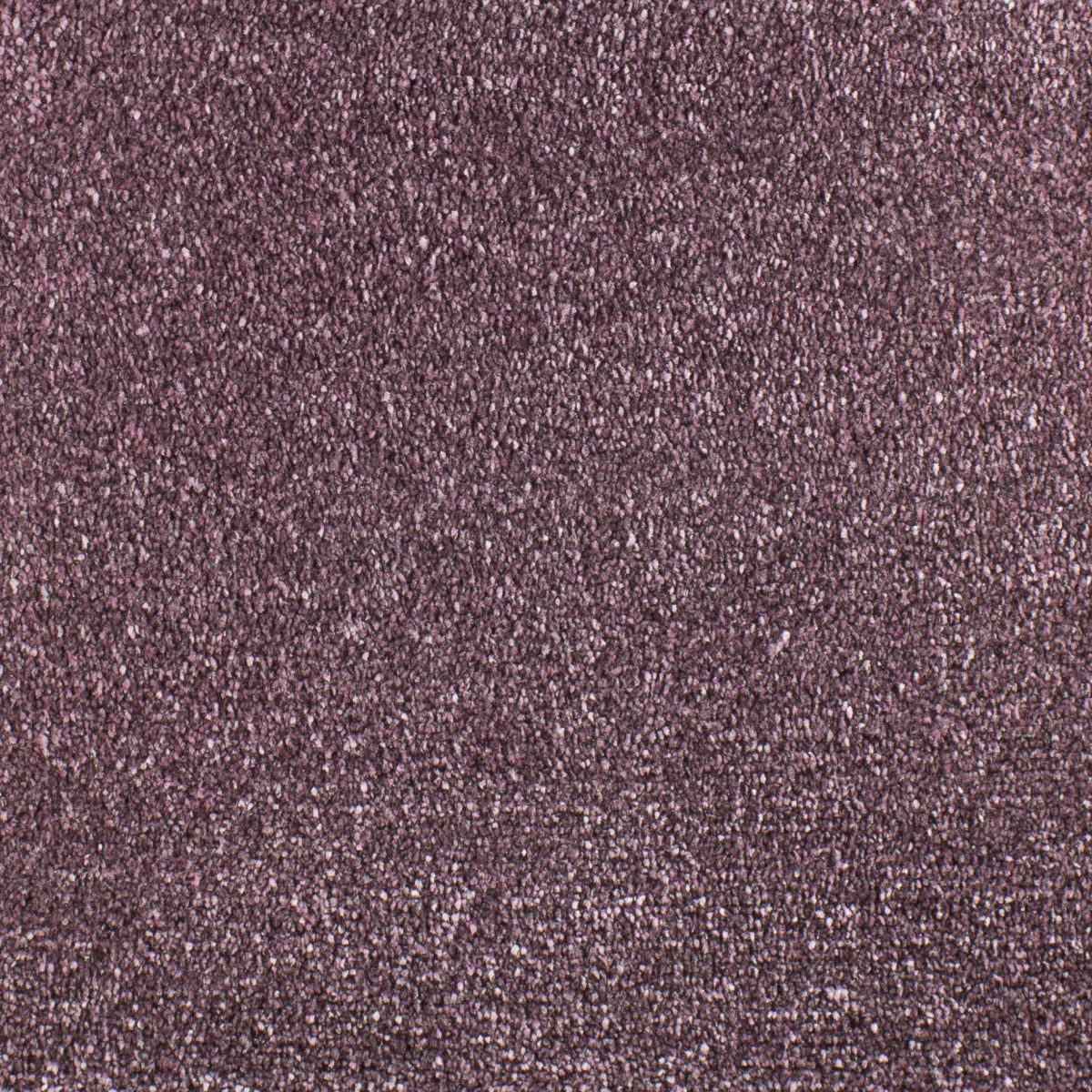 Serendipity Carpet
