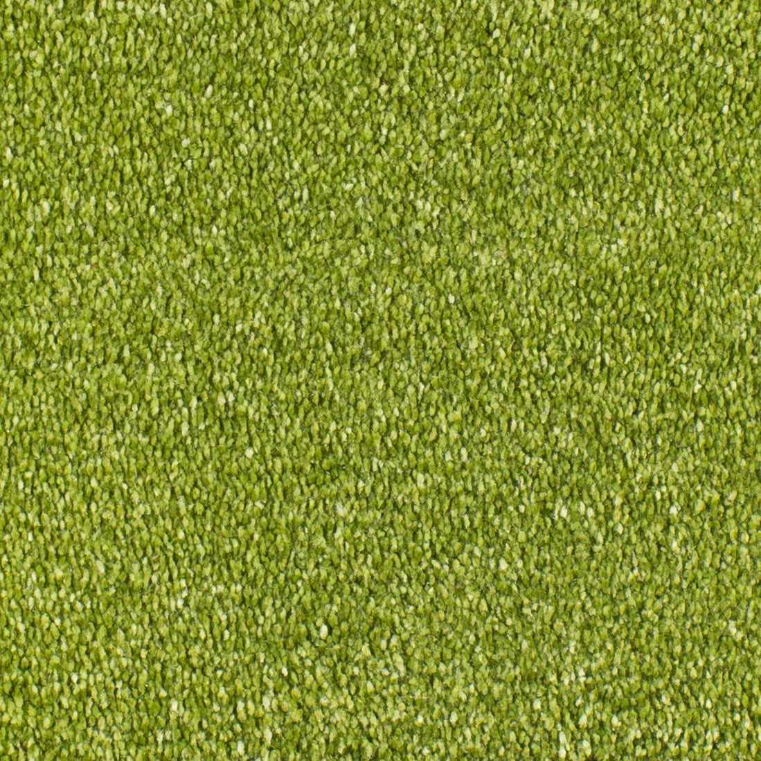 Serendipity Carpet