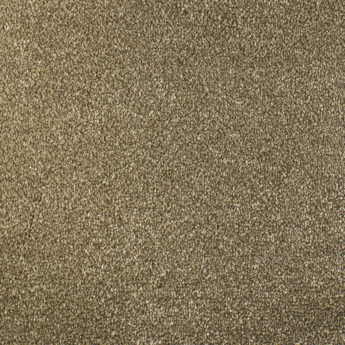Serendipity Carpet
