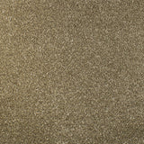 Serendipity Carpet