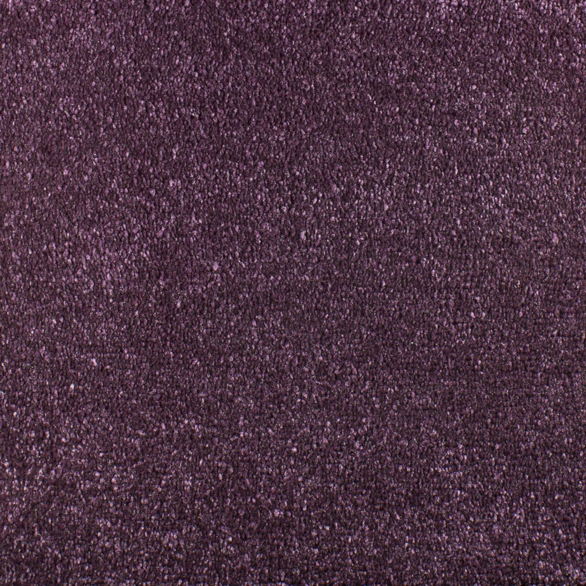 Serendipity Carpet