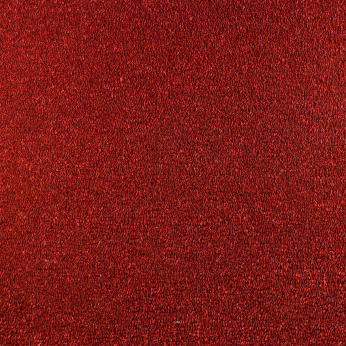 Serendipity Carpet