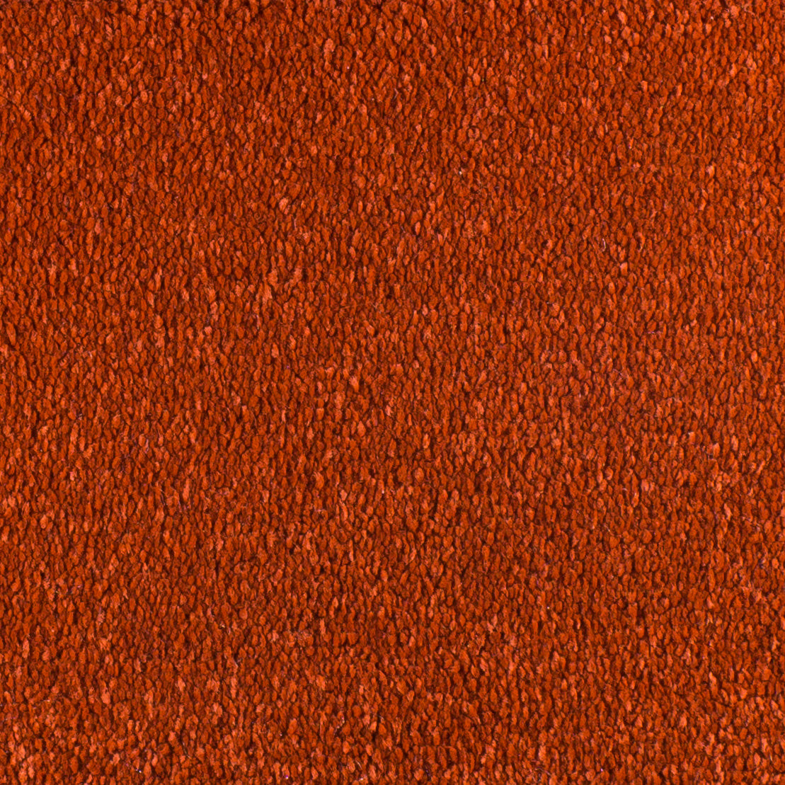 Serendipity Carpet