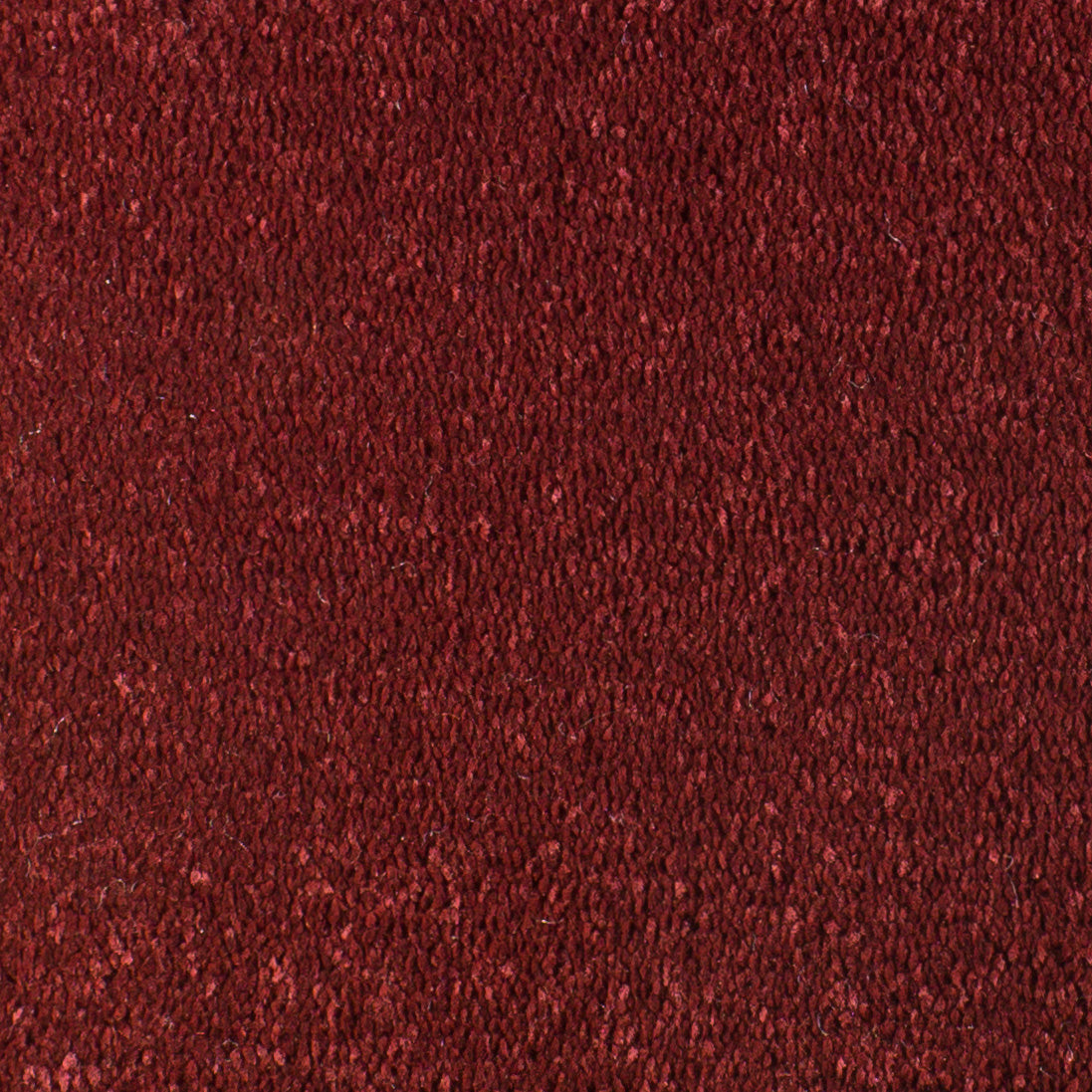 Serendipity Carpet