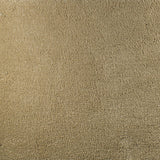 Serendipity Soft Touch Carpet