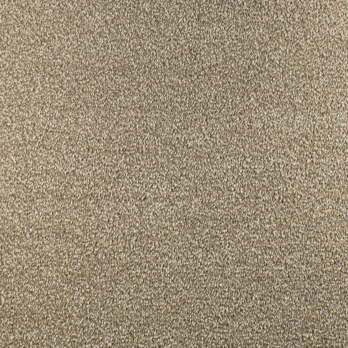 Serendipity Soft Touch Carpet