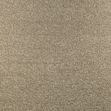 Serendipity Soft Touch Carpet