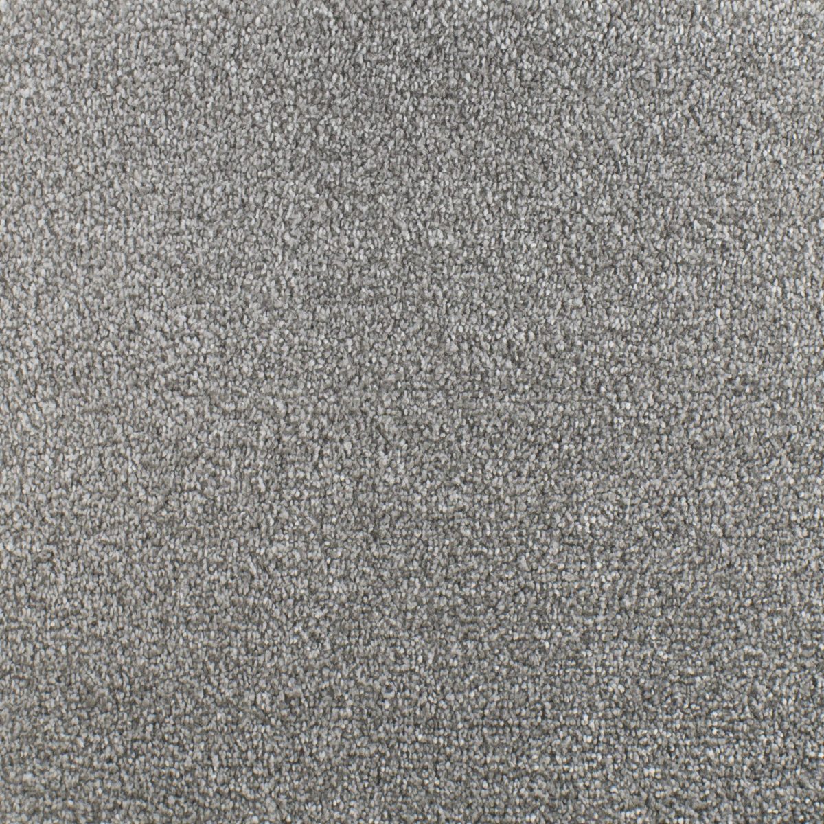 Serendipity Soft Touch Carpet