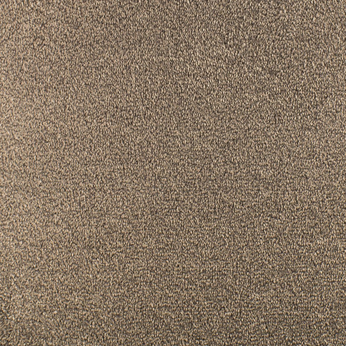 Serendipity Soft Touch Carpet