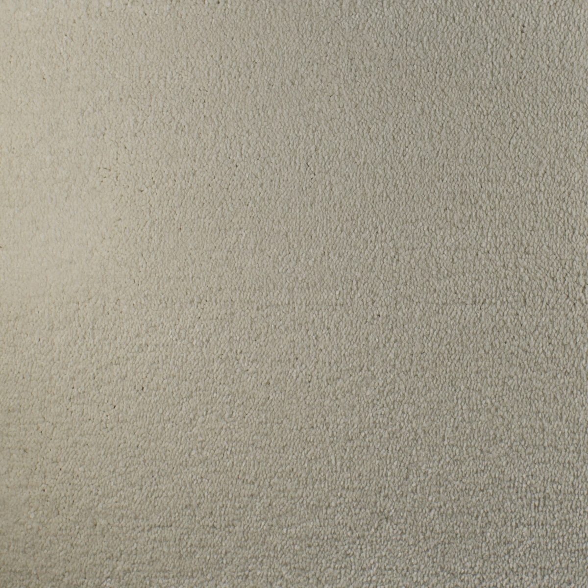 Serendipity Soft Touch Carpet