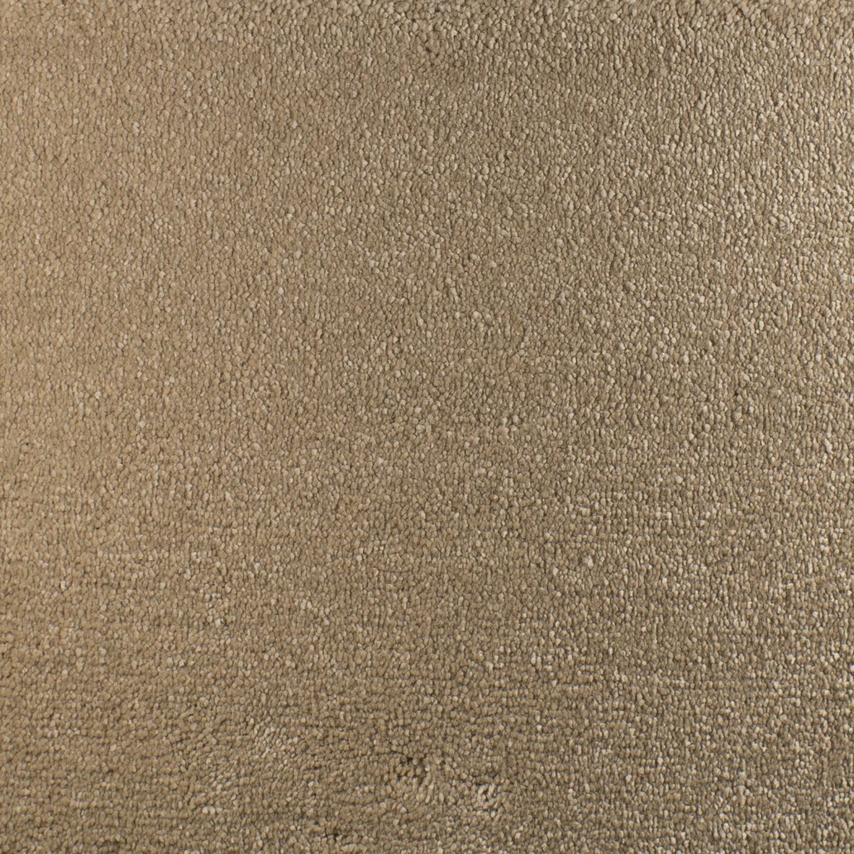 Serendipity Soft Touch Carpet