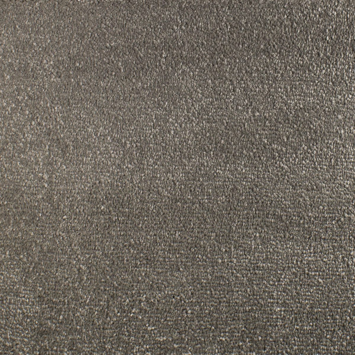 Serendipity Soft Touch Carpet