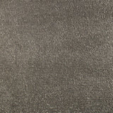 Serendipity Soft Touch Carpet