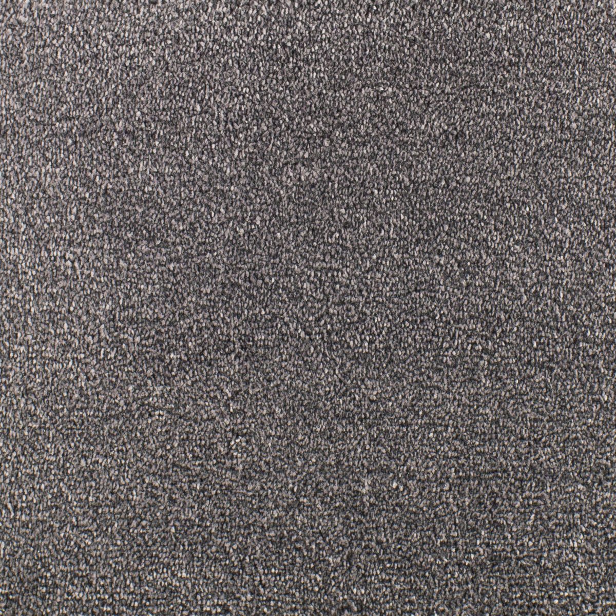 Serendipity Soft Touch Carpet