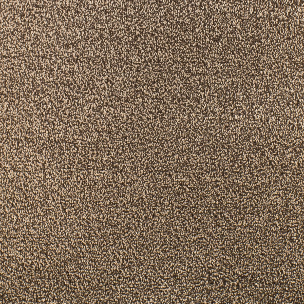 Serendipity Soft Touch Carpet