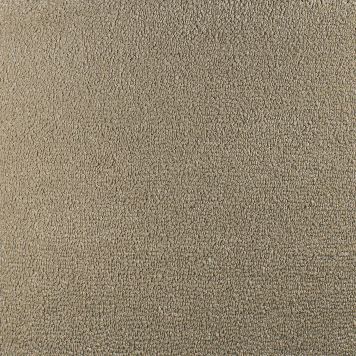 Serendipity Soft Touch Carpet