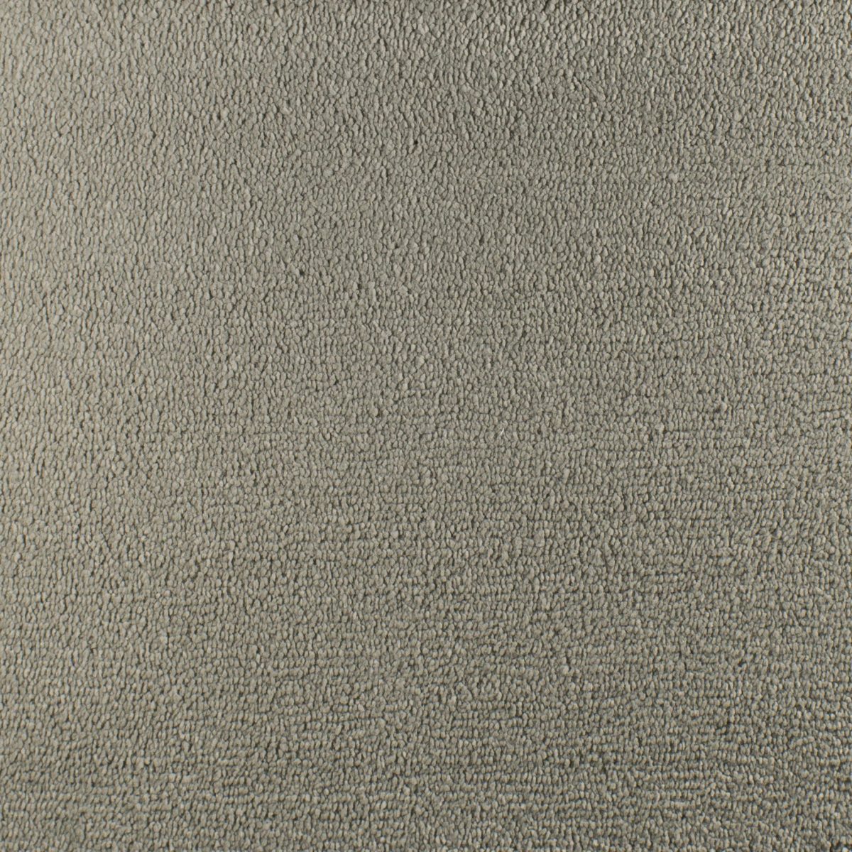 Serendipity Soft Touch Carpet