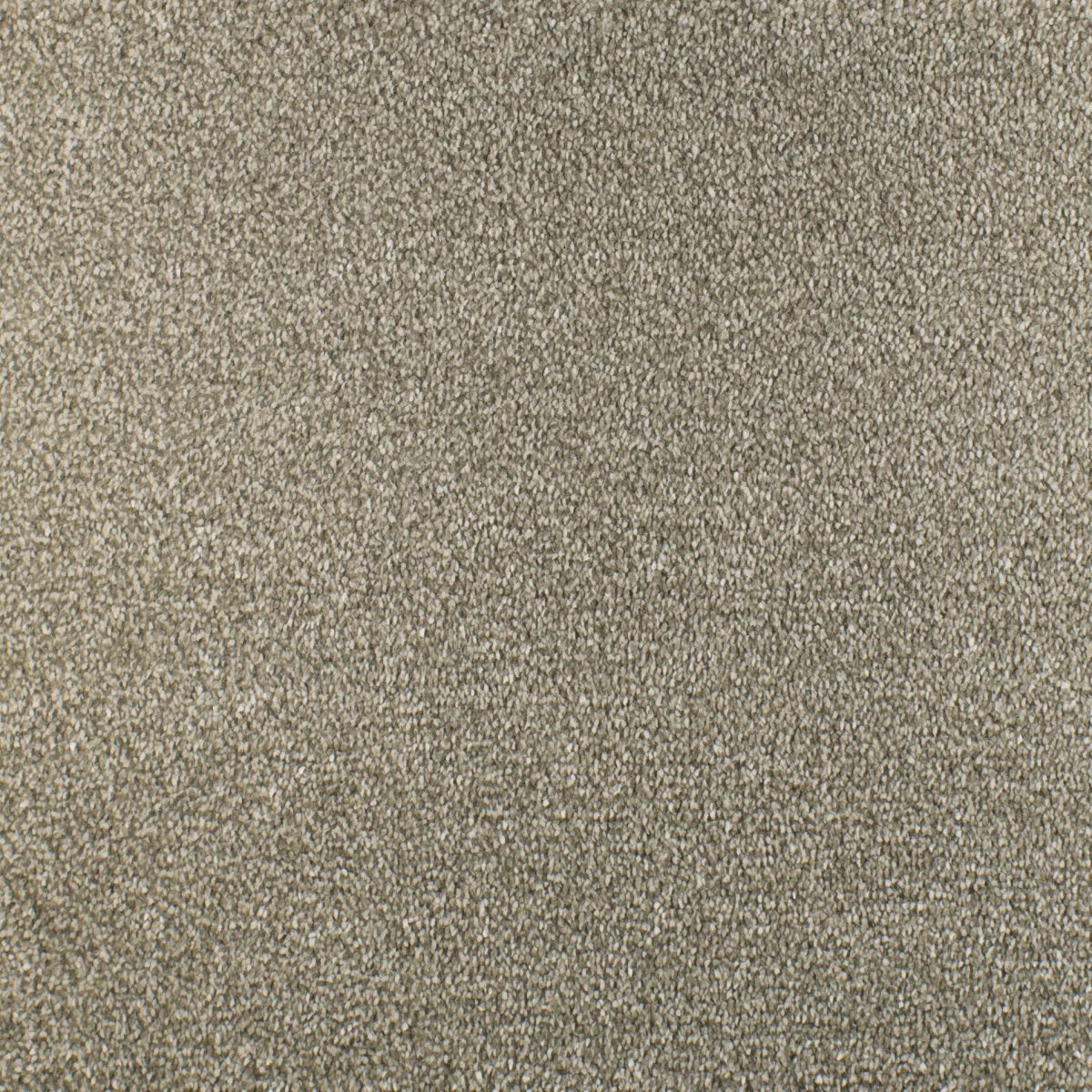 Serendipity Soft Touch Carpet