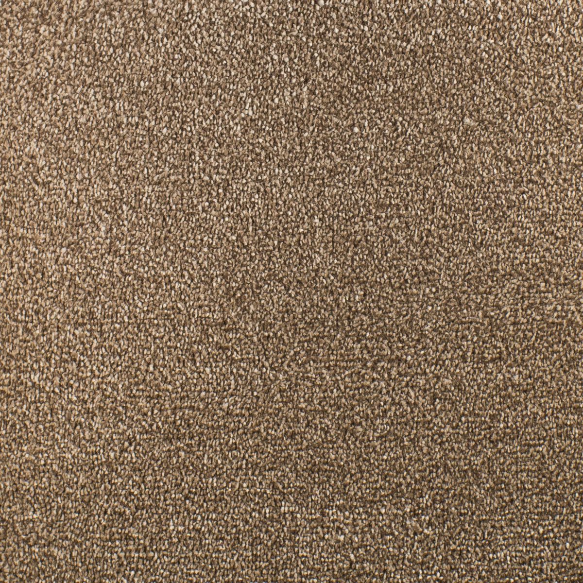 Serendipity Soft Touch Carpet