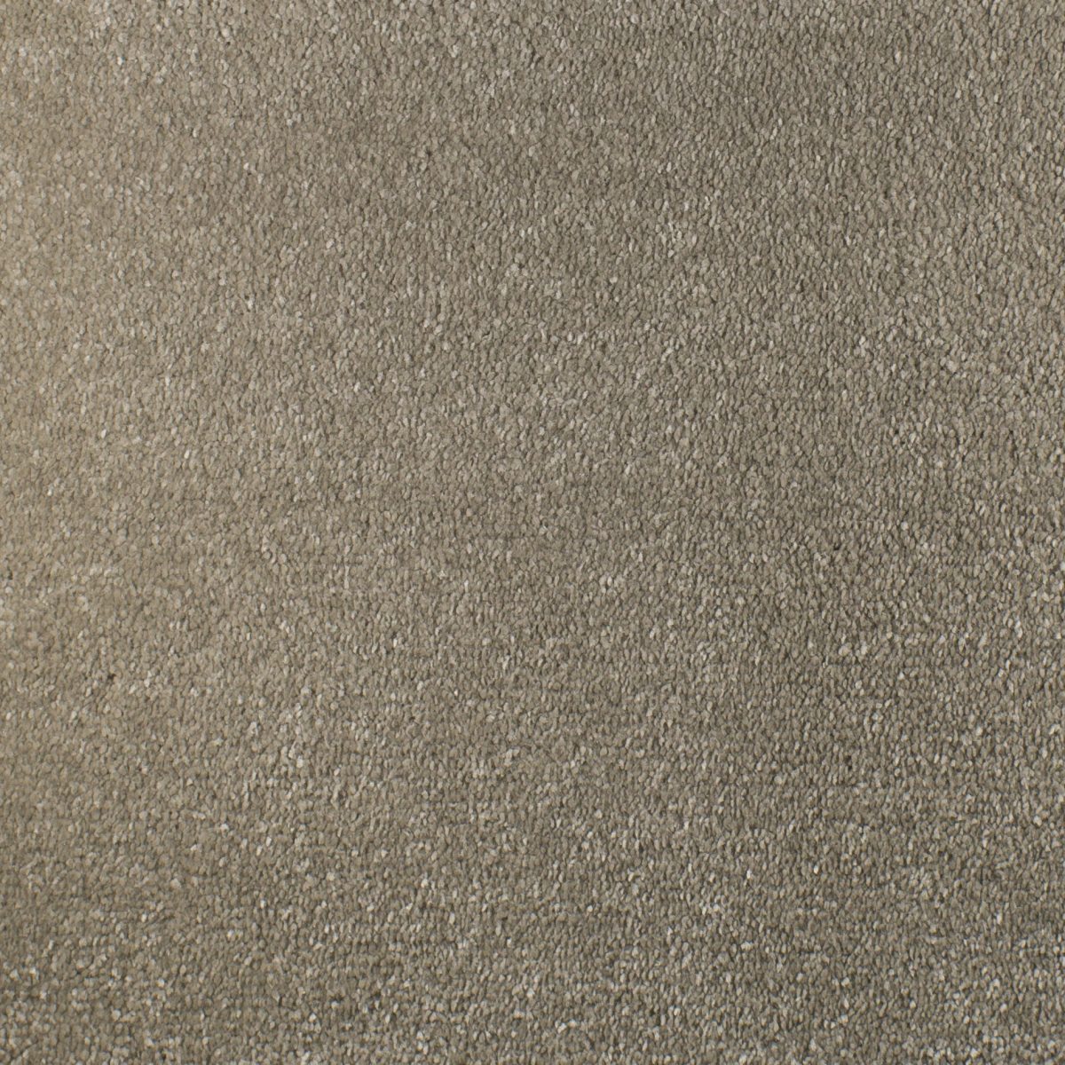 Serendipity Soft Touch Carpet