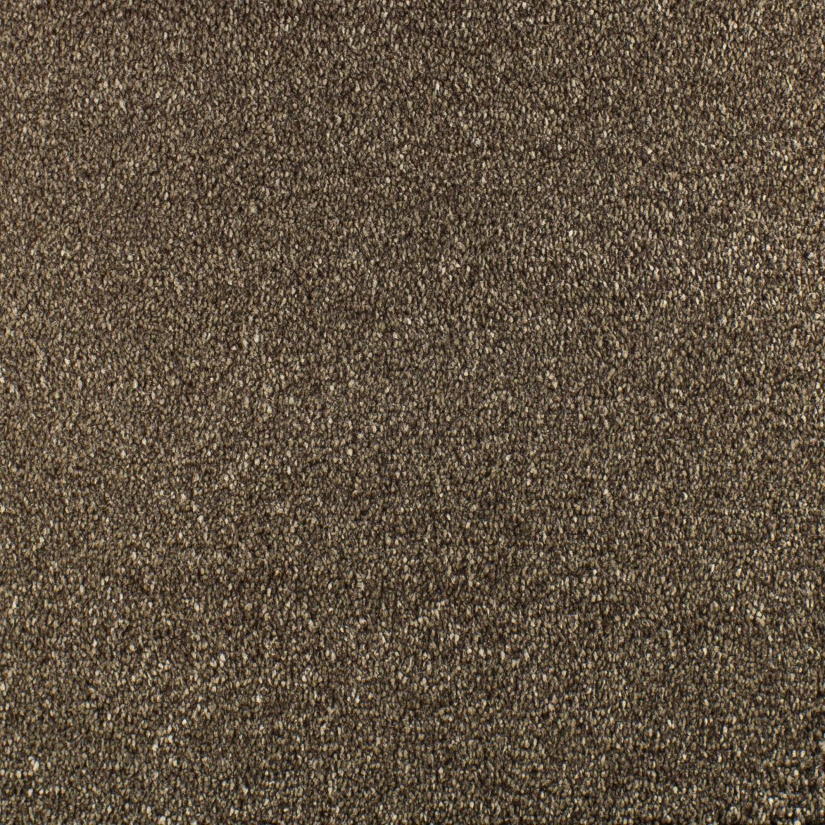 Serendipity Carpet