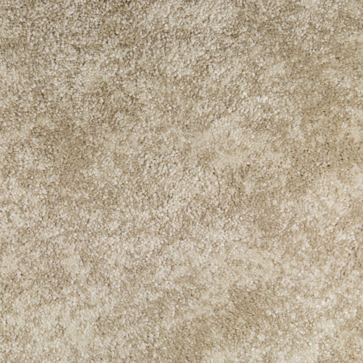 Silken Moments Carpet