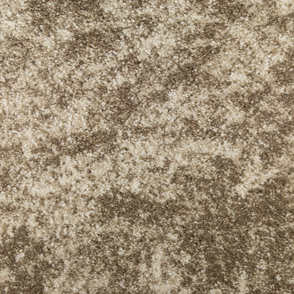 Silken Moments Carpet