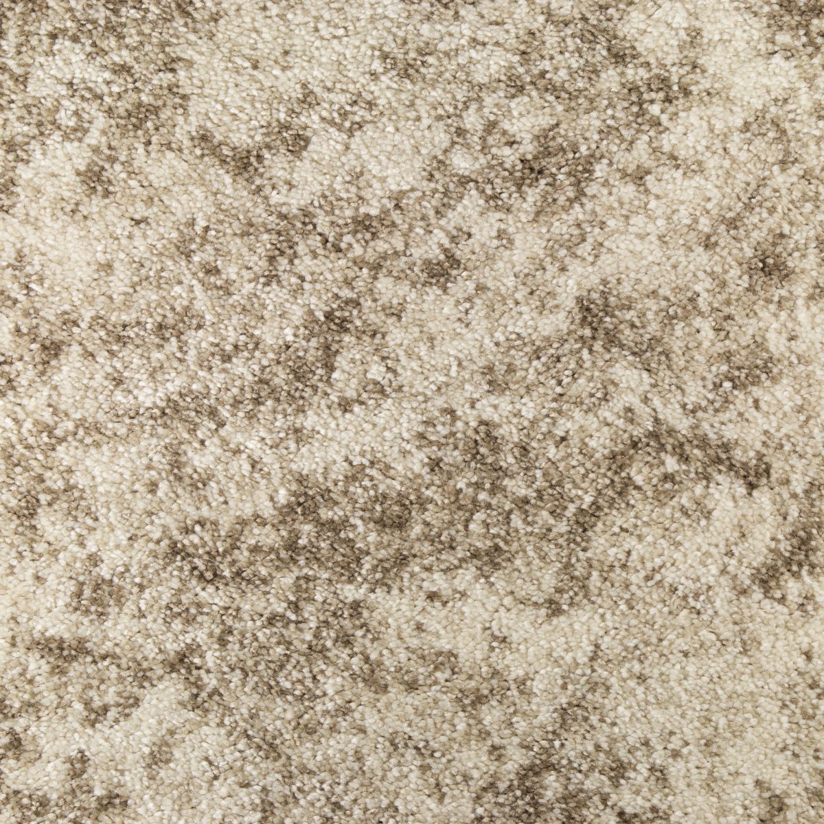 Silken Moments Carpet