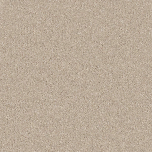 Carpet - Silken Serenity