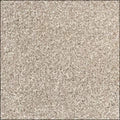 Velvet – Durable Everyday Carpet