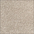 Velvet – Durable Everyday Carpet