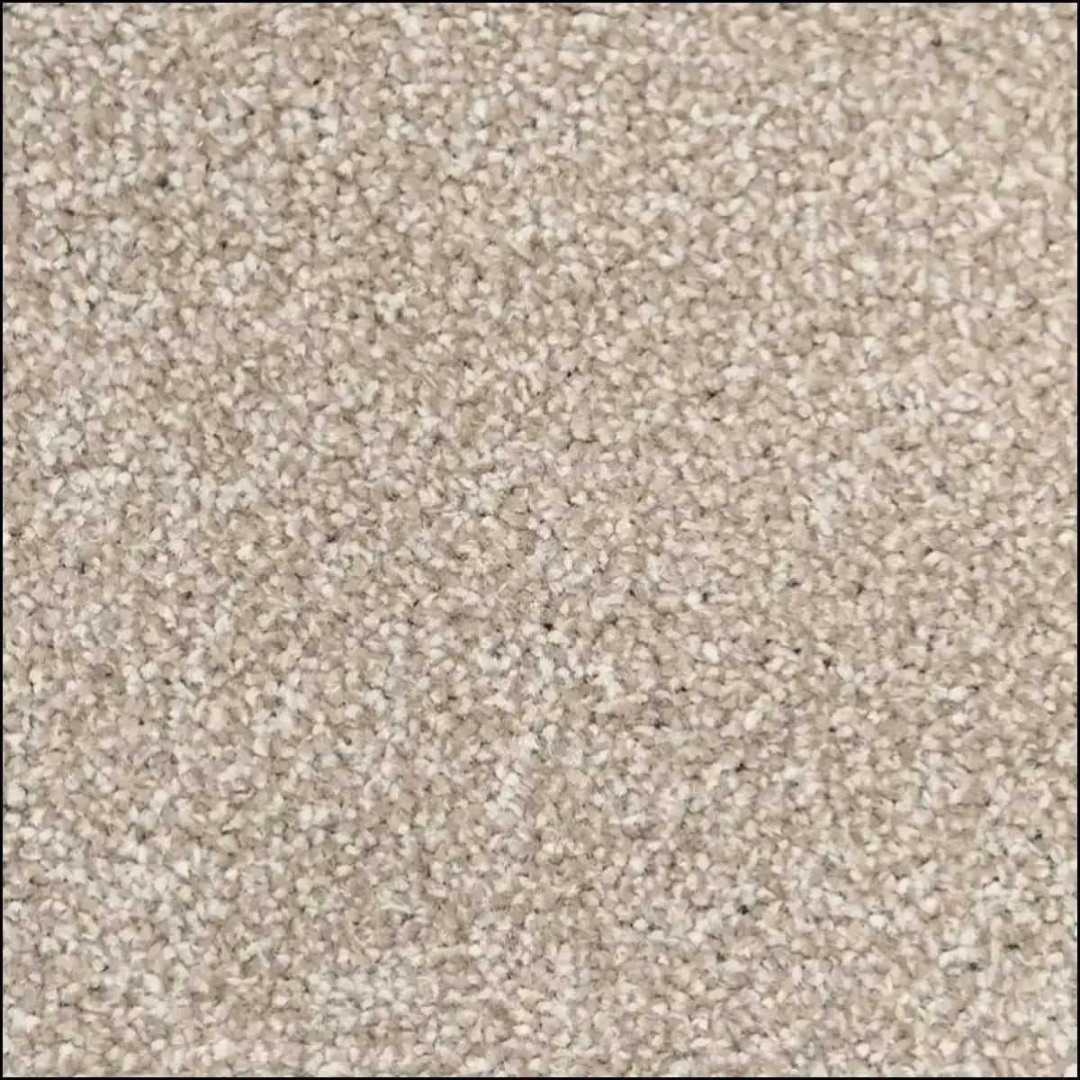 Velvet – Durable Everyday Carpet