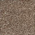 Velvet – Durable Everyday Carpet