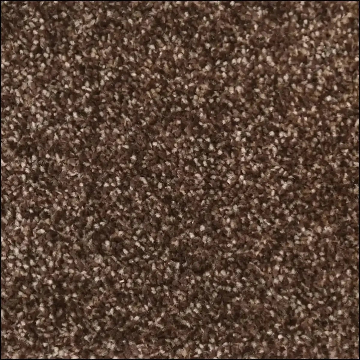 Velvet – Durable Everyday Carpet