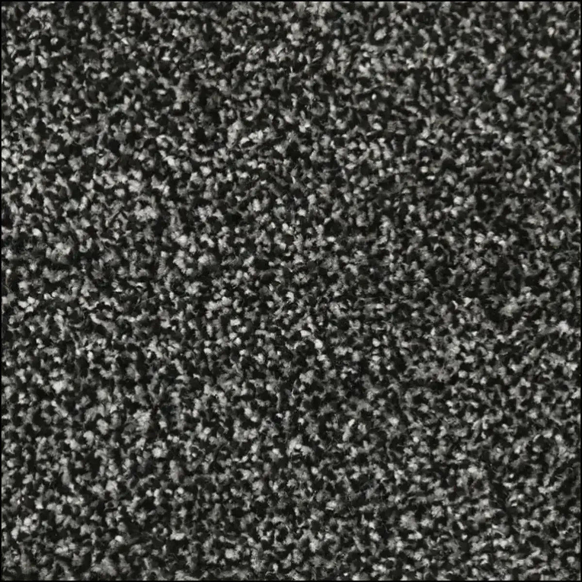 Velvet – Durable Everyday Carpet