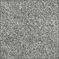 Velvet – Durable Everyday Carpet