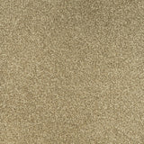 Trinity Carpet