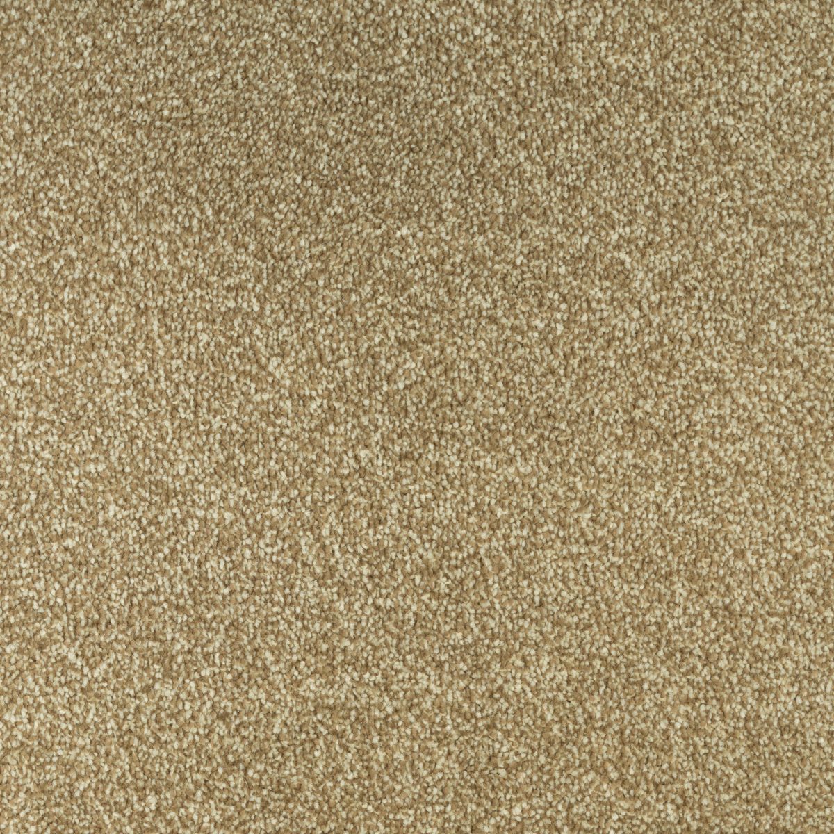 Trinity Carpet